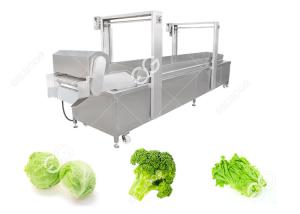 China Automatic Food Precooking Vegetable Blanching and Cooking Machine wholesale
