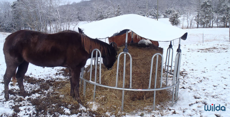 Headlock Galvanized Livestock Fencing