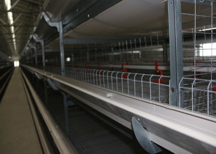Hot Dip Galvanized Chicken Battery Cages Layer Farming Easy Daily Management