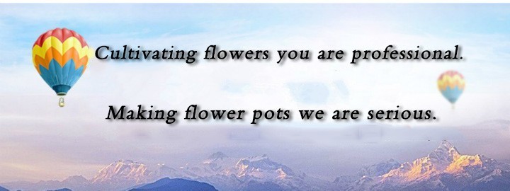 propagation plastic plant flower pot used nursery pots bulk flower pots in china supplier