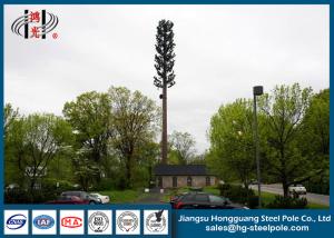 China 30m Steel Disguised Pine Tree Telecommunication Towers Polygonal Galvanized wholesale