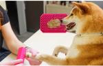 PP Plastic Silicone Anti Choke 0.2kg Cat Feeding Bowls