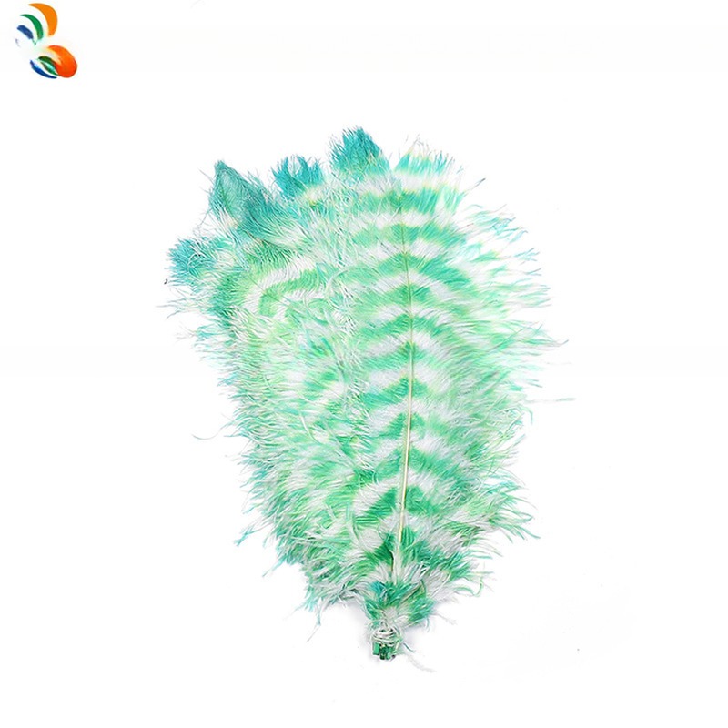 Two Tones Colour Ostrich Feather Plumes 50-55cm Size for Decoration
