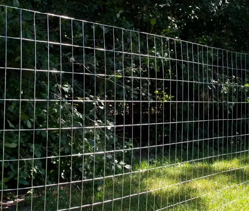 Durable 201/SS304/SS316 Welded Wire Mesh Stainless Steel Cage Poultry Net 1''x 1'' 1''x1/2