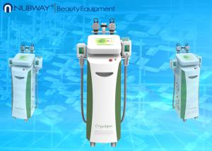 China Multifunctional cryotherapy weight loss / cryolipolysis slimming for salon use wholesale