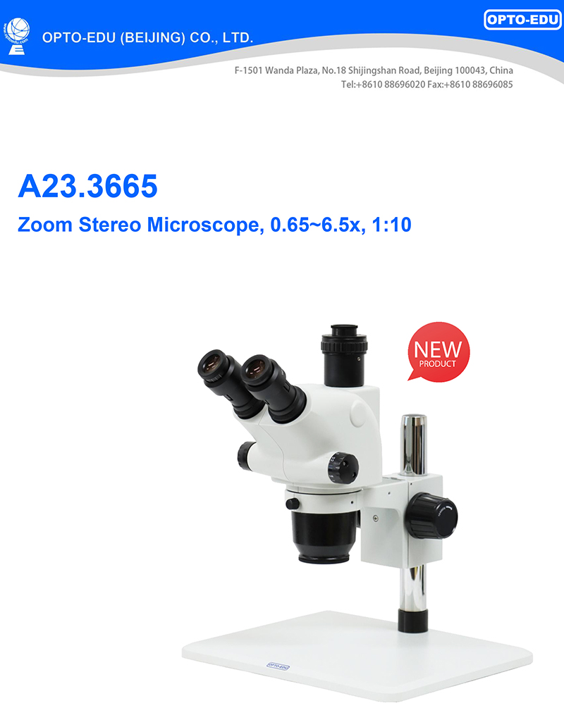 OPTO-EDU A23.3665 0.65-6.5x 1:10 Zoom Stereo Microscope