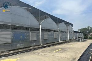 China Organic Farming Multi Span Greenhouse Large Commercial Greenhouses wholesale