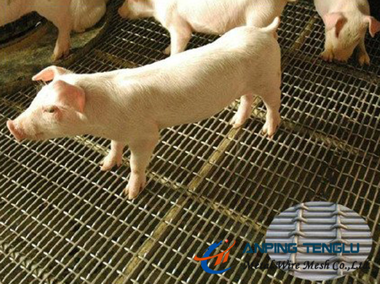 Slot Hole Crimped Wire Mesh in SS304, SS316 for Architecture & Animal Raising