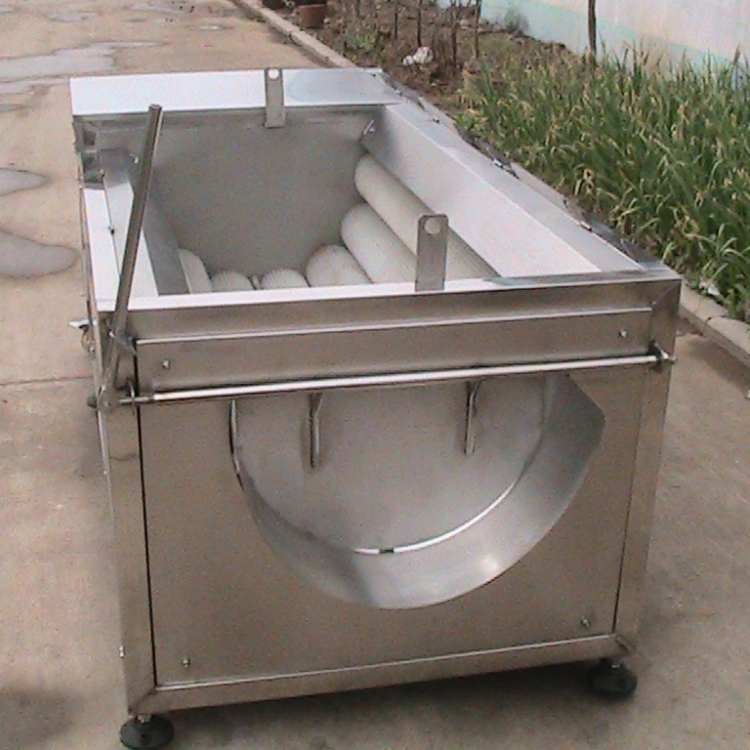 Industrial Brush Vegetable Potato Carrot Washing Peeling Cleaning Machine for Seafood