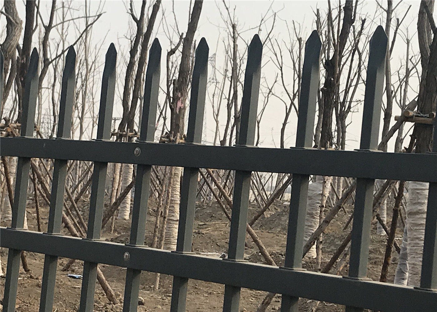 black powder coated tubular galvanized steel fence 1.2m*2.35m rail 45shs tube spacing 100mm upright 25mm