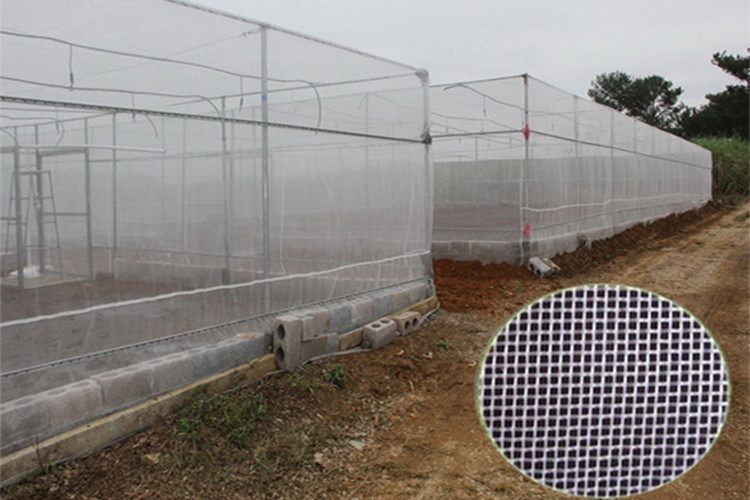 Greenhouses Anti Insect Screen Mesh Disease Prevention Insect Proof Mesh