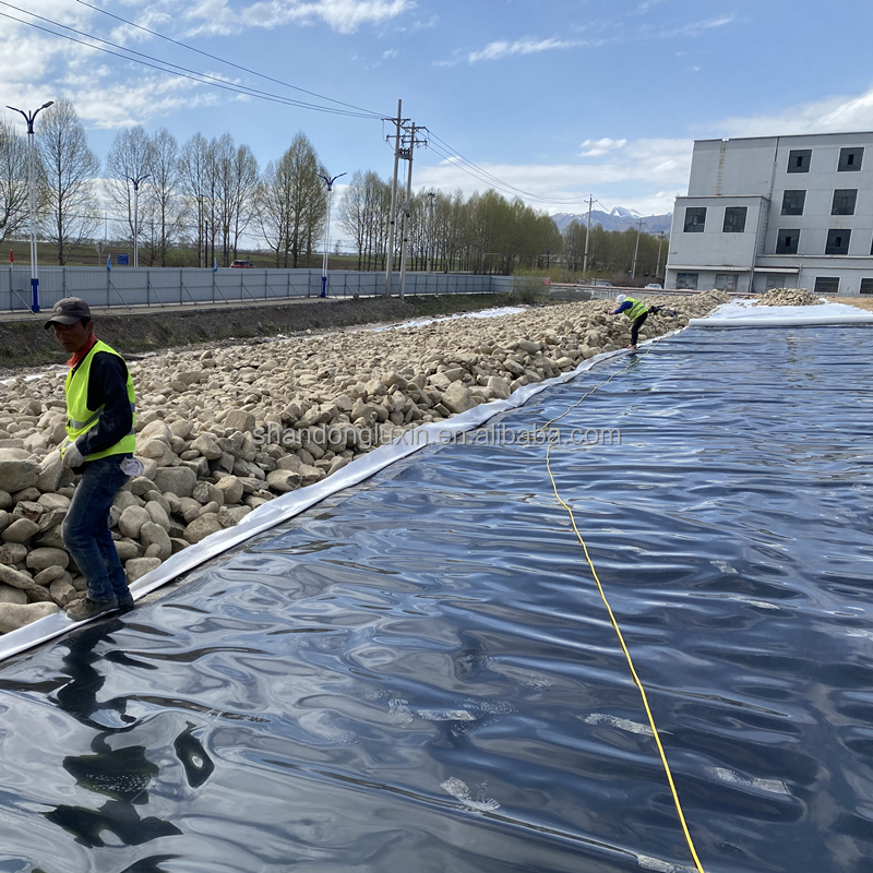 Modern Design HDPE Geomembrane for Landfill Sites Sewage Treatment Plants Fish Ponds