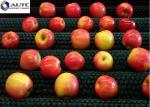 PP Nylon Roller Brush , Industrial Sweeping Brush Food Fruit Vegetable