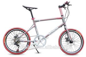 China Ladies Aluminum 7 Speed 24 Inch Wheel Electric Bike wholesale