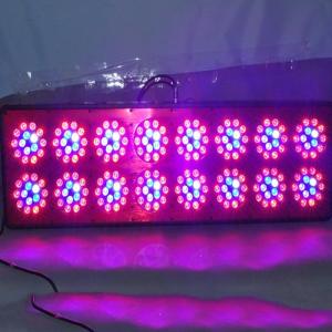 China 560W(240x3w) Apollo 16 Led grow light/Apollo 16 indoor plant Led grow light wholesale