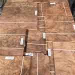 Walnut Burl Veneer