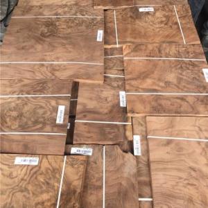 China Walnut Burl Veneer wholesale