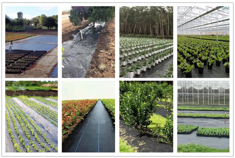 5 Ounce Weed Barrier Control Fabric Ground Cover Membrane Professional Woven and Non-Woven Landscape
