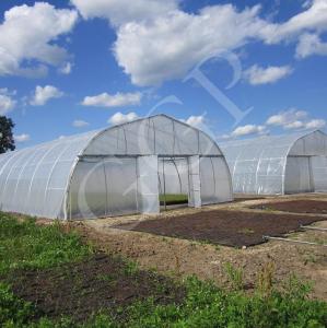 China Classic Standard Greenhouse Tunnel Plastic Sheet Covering Vegetable Growth wholesale