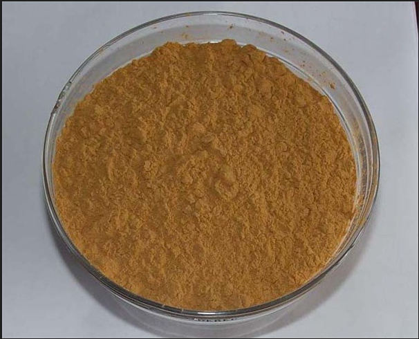 GMP Supplier 1%-2% DNJ powder from white mulberry leaf extract