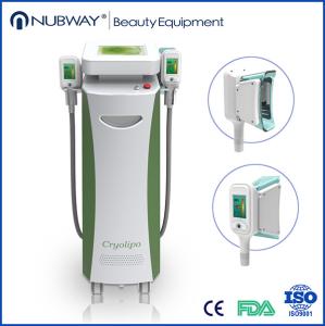 China Promotion --- Two handles Cryolipolysis body slimming device for personal care wholesale