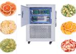 Breast Milk Home Mini Freeze Dryer 10kg/Batch PLC Control