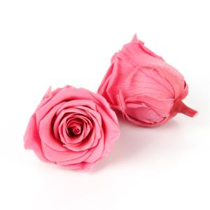 China AAA Grade 100 Colors 4-5cm Real Touch Eternal Roses For Party Wedding Decoration wholesale