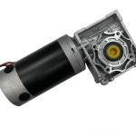 Size 30mm to 110m Customizable Brush Dc Motor 10w upto 1000w 12V 24V 36V 40V 48V