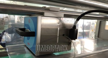 Automatic candy weighing plastic bag packing machine