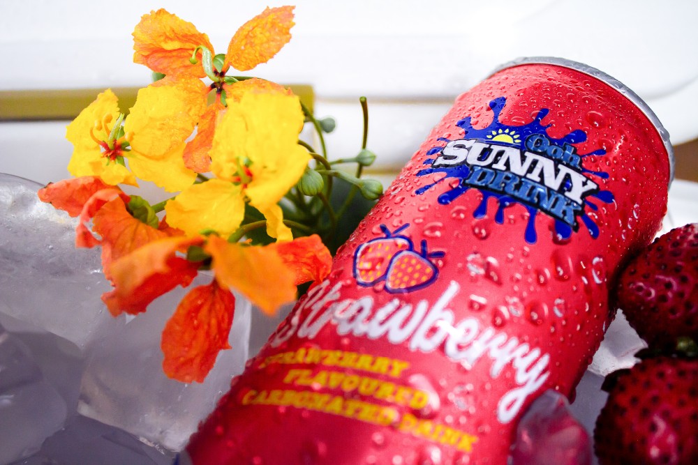 Beverage Solutions Aluminum Soft Drink Cans 12oz sleek Custom Printing OEM
