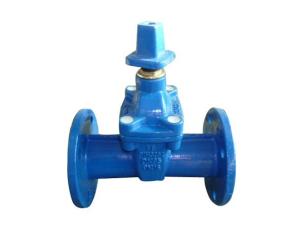 China (DIN) Cast Iron Resilient Gate Valve NRS wholesale