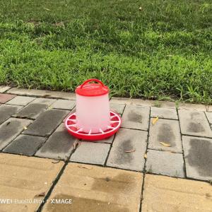 China Innovative Freestanding Chicken Feed Dispenser With Cylinder Technology wholesale