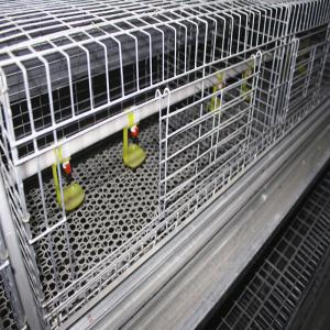 China Farming Coop Broiler Chicken Cage Animal Husbandry Equipment wholesale