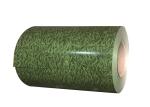 Wear Resistant PPGI Steel Coil Building Material Oxidation Protection Metal