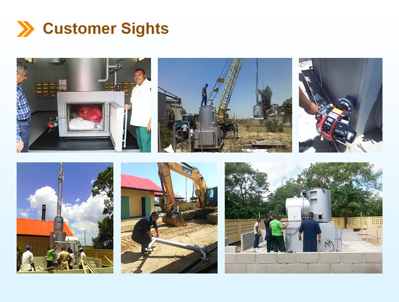 Video Outgoing Inspection Medical Waste Incinerator For Solid Waste Treatment