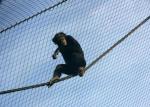7x7 Stainless Steel Zoo Animal Enclosure Flexible CE Certificated