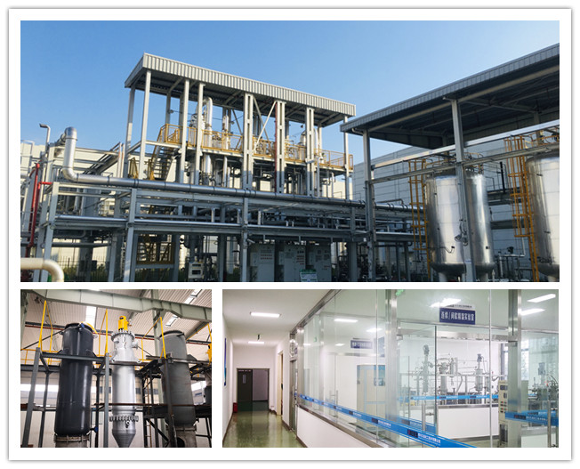 Metallic High Pressure Chemical Reactor Stainless Steel Reactor