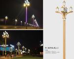 80W-240W Combined lighting rod series LED Pole light Street Lights Outdoor