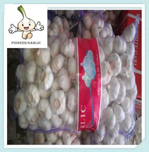 China Hot selling purple garlics with great price 100% Natural Garlic wholesale