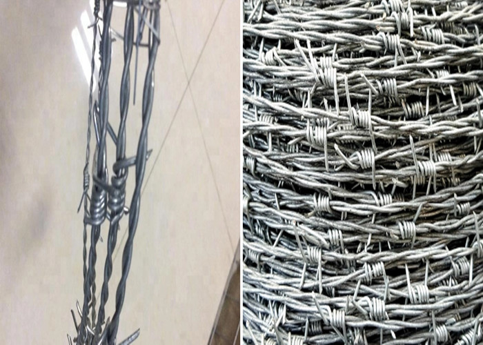 Security SWG12 7.5cm Galvanized Barbed Wires