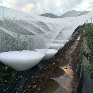 China Anti Hail Net Agriculture Mesh HDPE Apple Tree Garden Hail Proof Netting Polyethylene Cheap Price Hail Guard Net Car Hail Protection Net Anti-Insect wholesale
