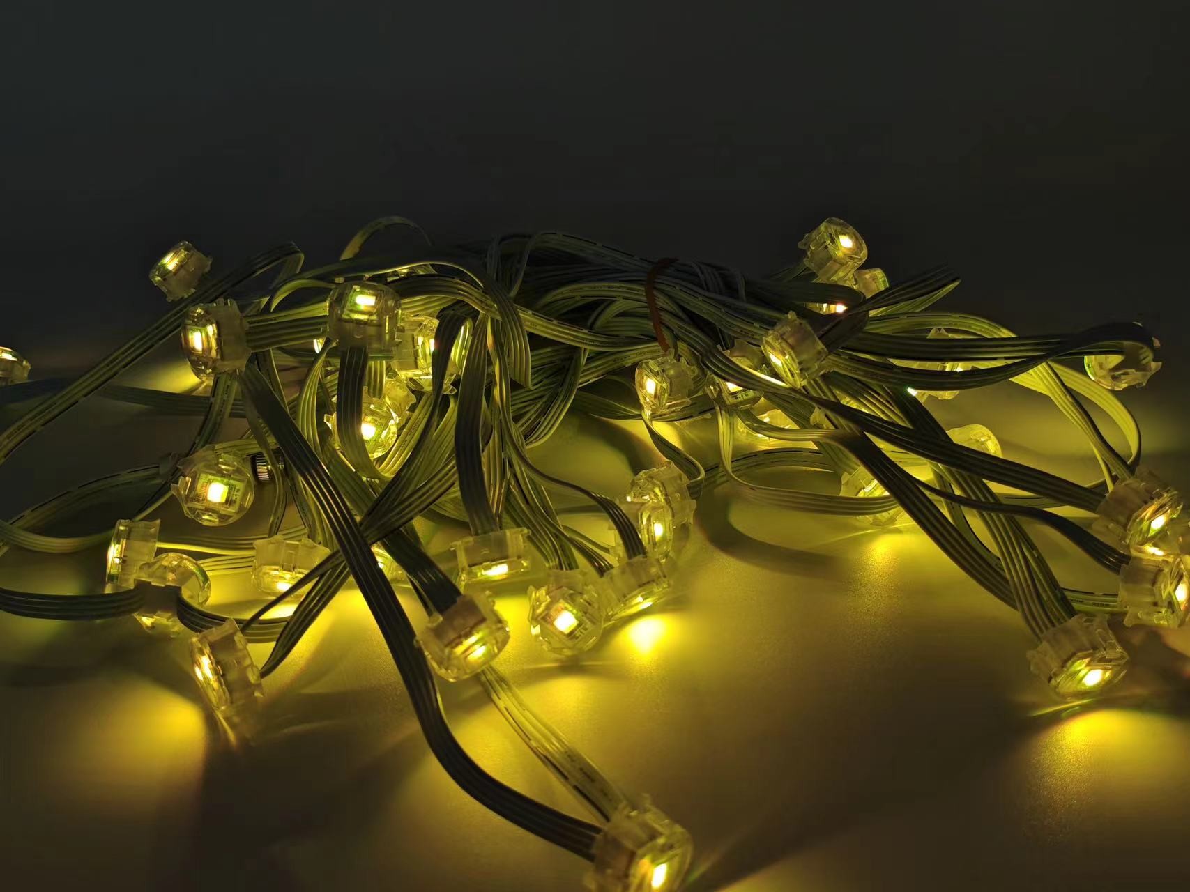 decorative EAVES LIGHT IP65 RGB permanent outdoor light with Plug-in power supply for outdoor indoor decorative lights