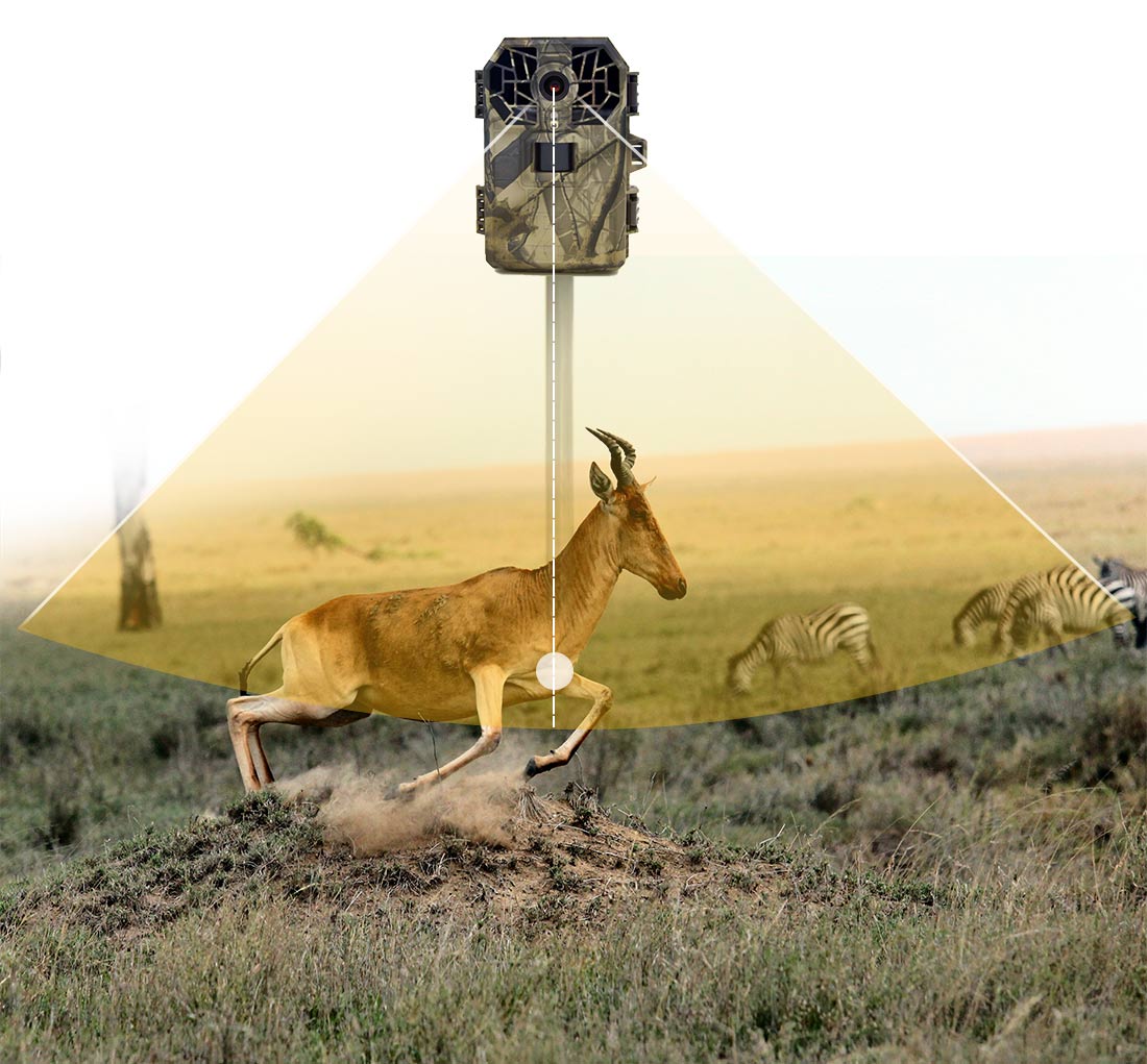 16MP 2in TFT Screen Digital Trail Camera IP66 Waterproof