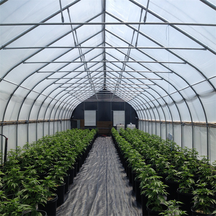Irrigation System Automated Blackout Greenhouse With Rectangle Pipe