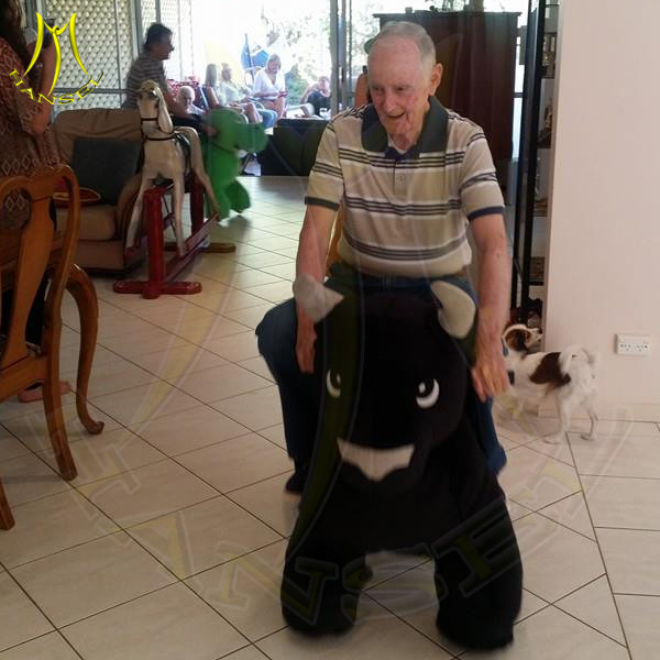 Hansel mechanical horse for sale and electric bike with hub motor
