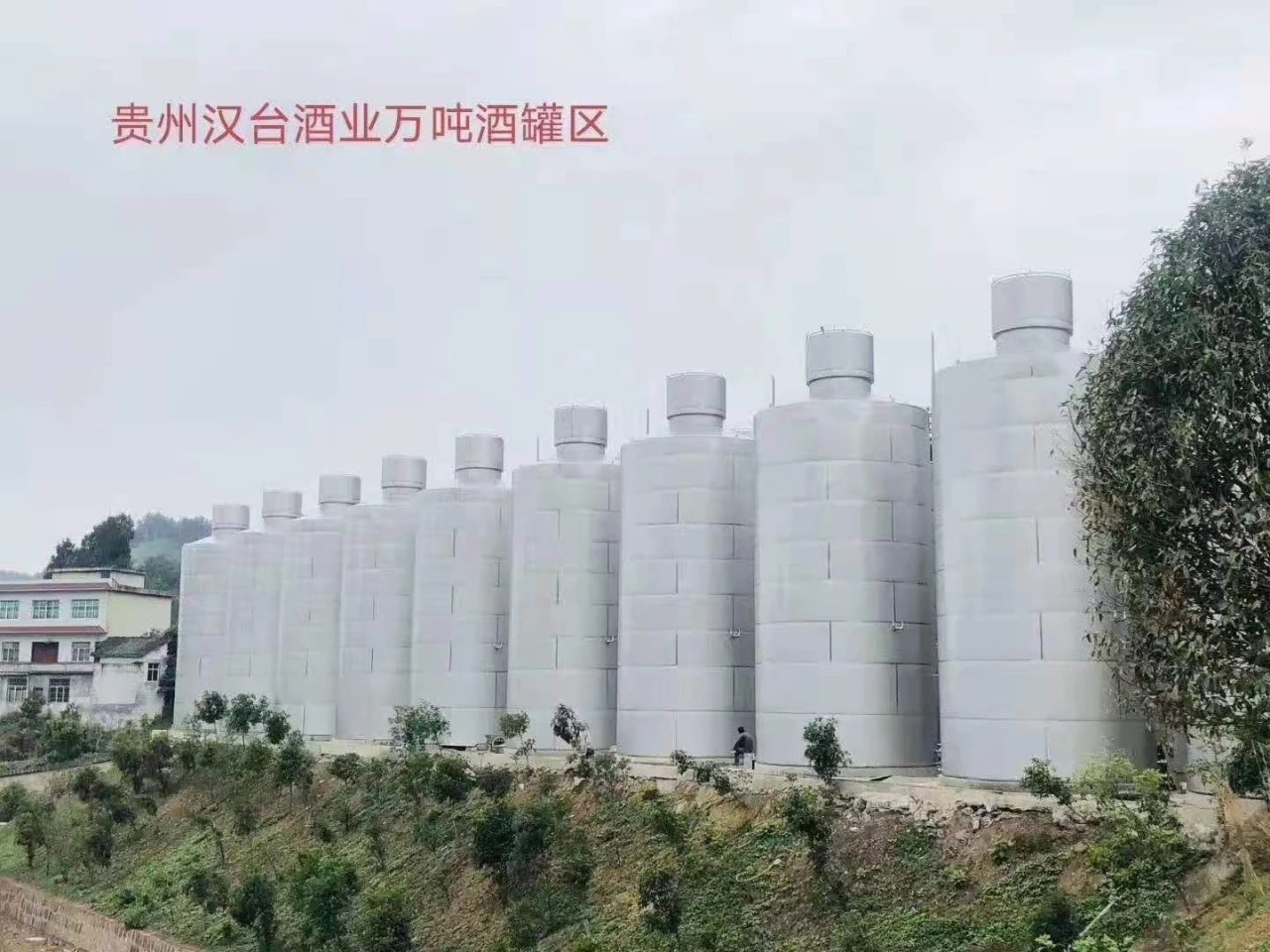 maotai flavor liquor china factory China maotai-flavored liquor ranking - Recommend a cost-effective Maotai-flavored liq