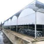 Nursery Commercial Blackout System Plastic Panda Film Multi-span Greenhouse