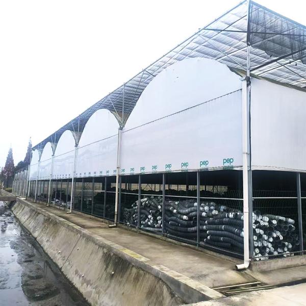 Steel Tructure Agriculture Large Tunnel Black White Film Light Deprivation