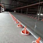 Floor Ground Chicken Water Feeding System Broiler Automatic Feeder
