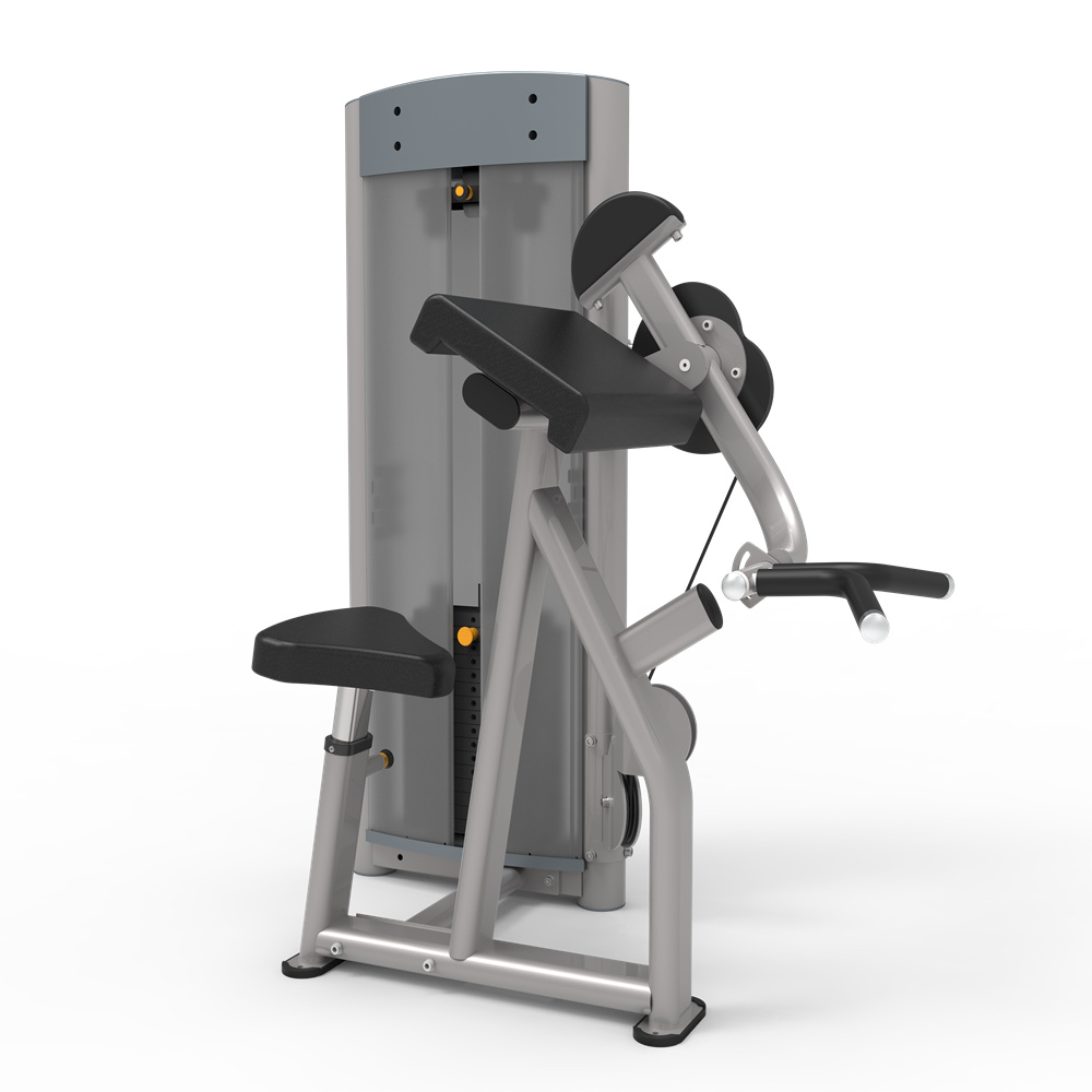 Commercial Steel Bicep Curl Machine For Arm Workout Strength Training